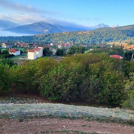 Τα Πέτρινα Στο Σκεπαστό Villa Kalavryta Exteriör bild