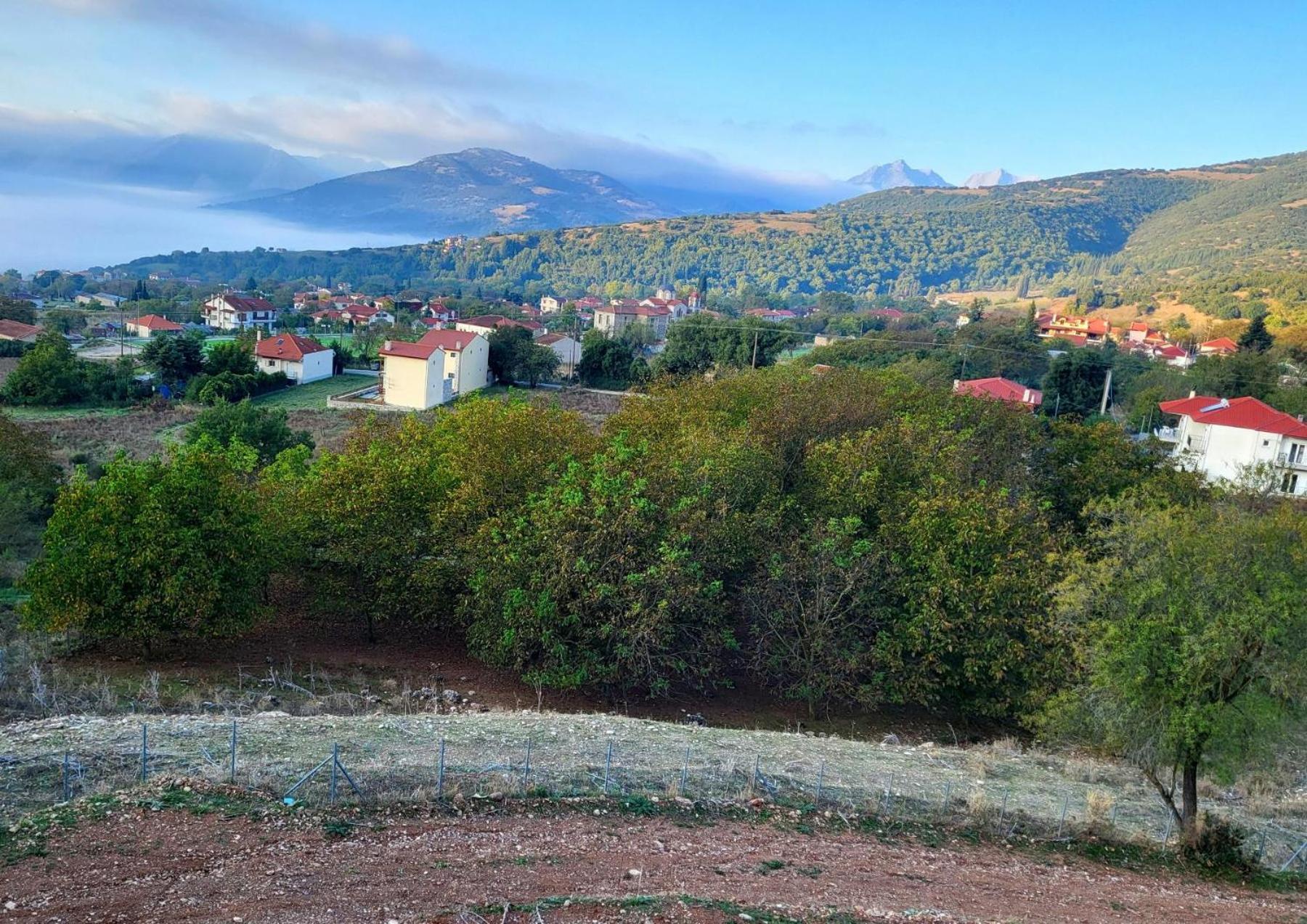 Τα Πέτρινα Στο Σκεπαστό Villa Kalavryta Exteriör bild